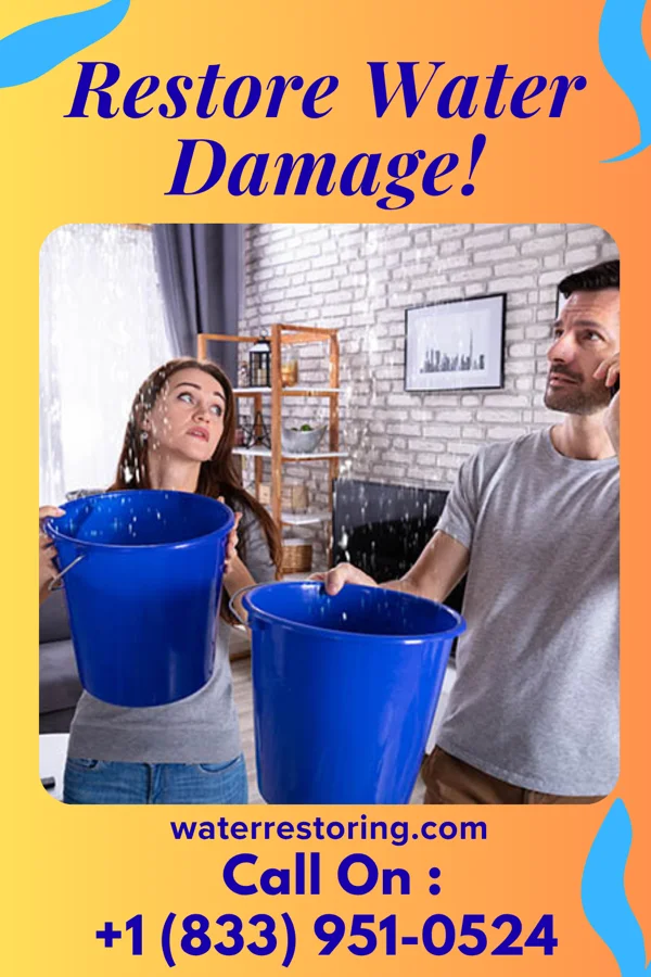 water restoration United Water Mitigation LLC Nellieburg