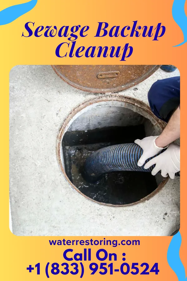 Sewage Backup Cleanup in Nellieburg, MS